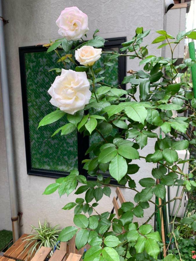 Kanae House Ferienhaus